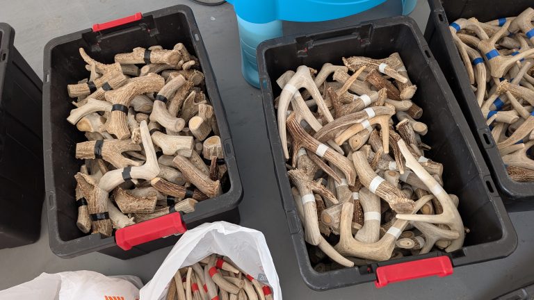 Antler black bins